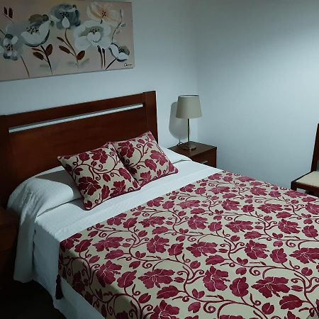 サンティアゴ・ド・カセーンAlojamento Ferreira - Apartamento Cアパートメント エクステリア 写真