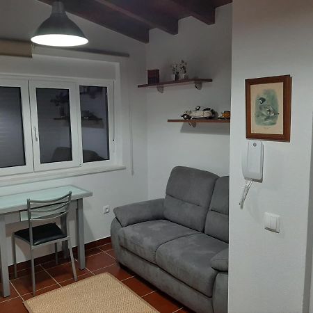 サンティアゴ・ド・カセーンAlojamento Ferreira - Apartamento Cアパートメント エクステリア 写真