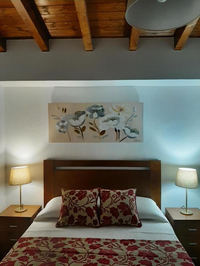 サンティアゴ・ド・カセーンAlojamento Ferreira - Apartamento Cアパートメント エクステリア 写真